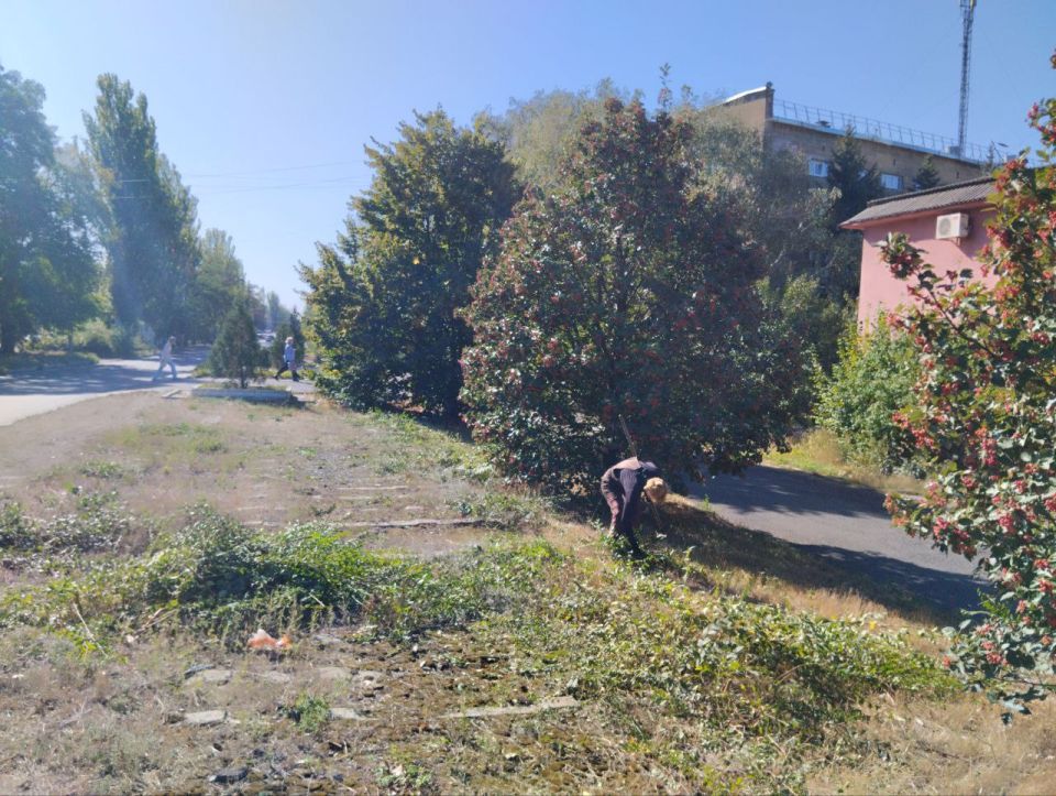 �������, 22 ��������, ������ ��� ��� �������������-15� ���������� ������ �� ������ ����� �� ��. ������. �����, ����������� ������ ��������� ����� � �������