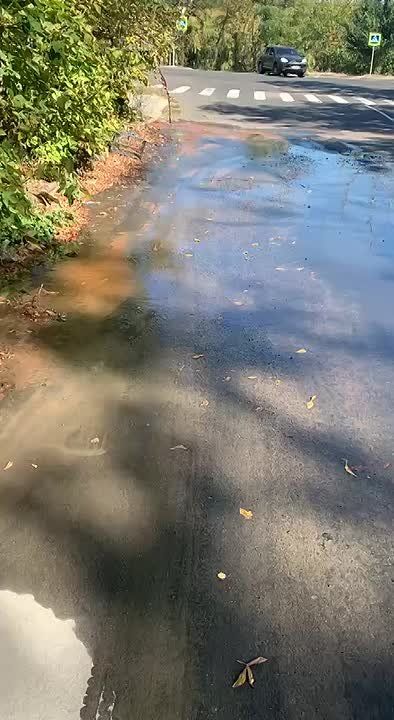Депутаты Народного Совета: ежедневная борьба за воду