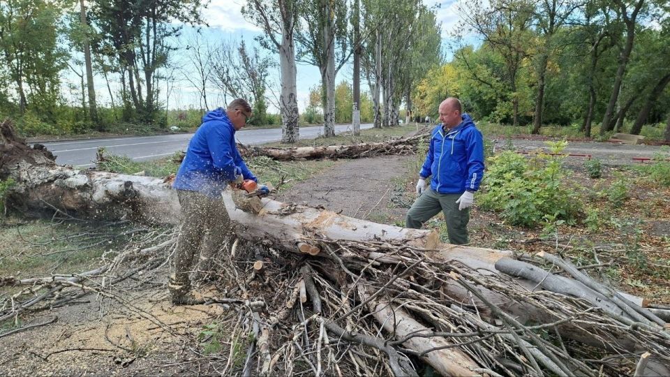 Депутаты от Единой России подали личный пример: в Макеевке прошёл субботник по уборке сухих деревьев