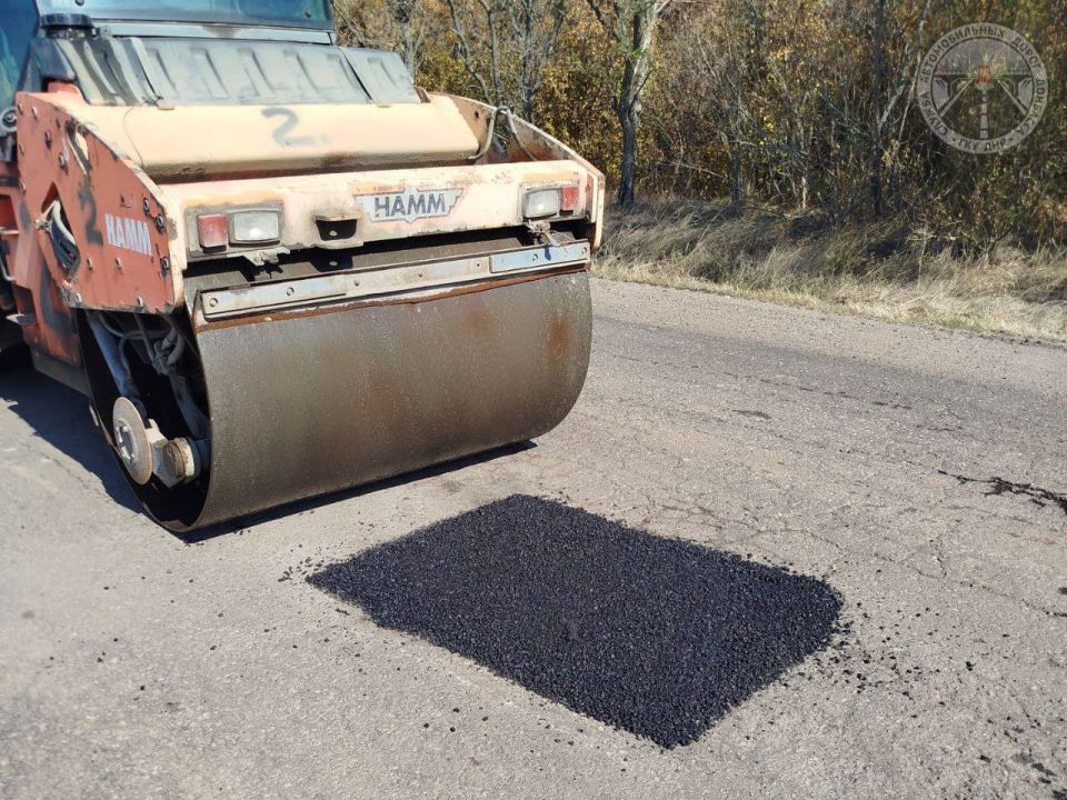 #свод_за_сутки #летнее_содержание #свод_за_сутки #летнее_содержание