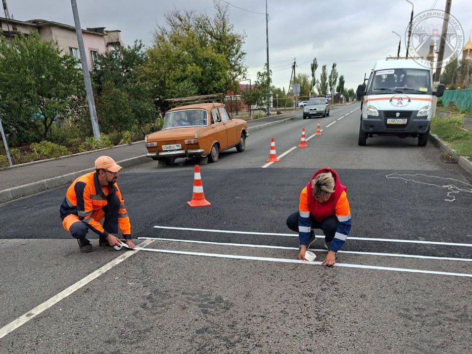 #свод_за_сутки #летнее_содержание #свод_за_сутки #летнее_содержание