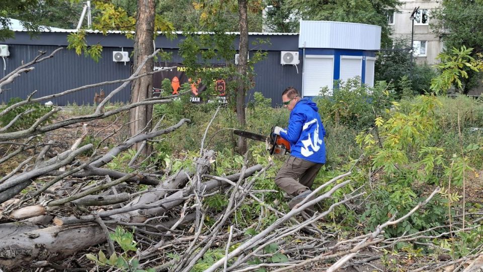 Депутаты от Единой России подали личный пример: в Макеевке прошёл субботник по уборке сухих деревьев Депутаты от Единой России подали личный пример: в Макеевке прошёл субботник по уборке сухих деревьев