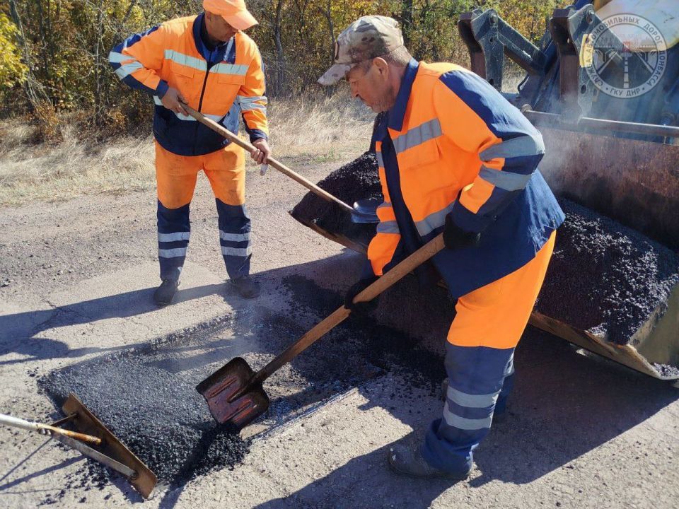 #свод_за_сутки #летнее_содержание #свод_за_сутки #летнее_содержание