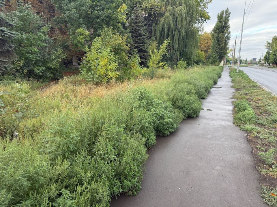 Индивидуальный предприниматель Алексей Боршош продолжает отзываться на просьбы жителей и активно оказывать посильную помощь на благо и комфорт жителей нашего района