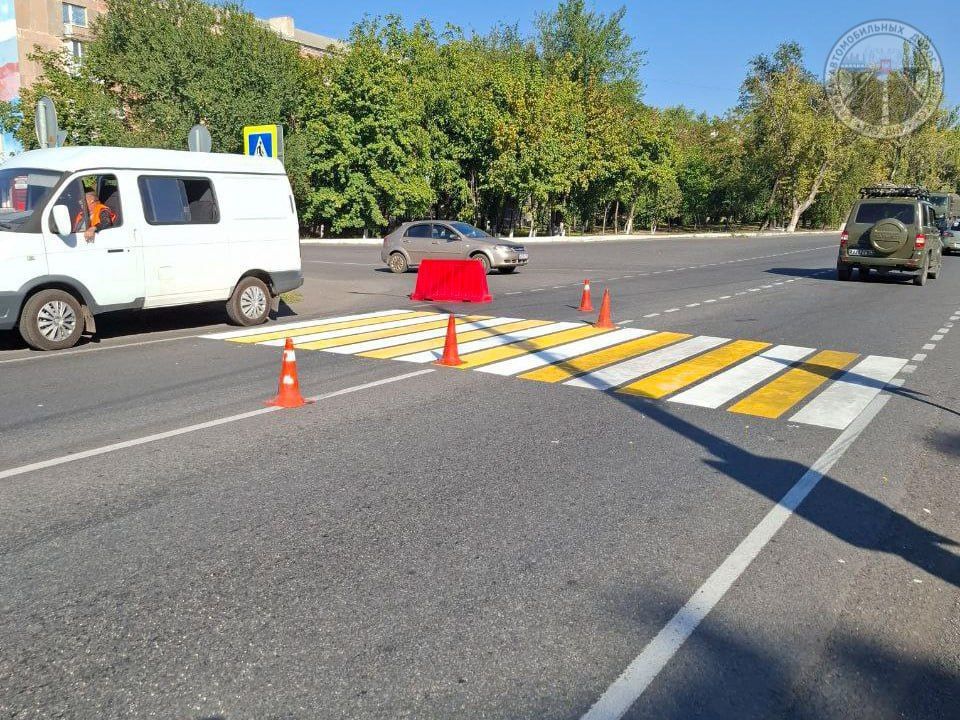 #свод_за_сутки #летнее_содержание #свод_за_сутки #летнее_содержание