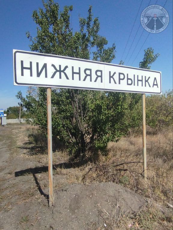 #свод_за_сутки #летнее_содержание