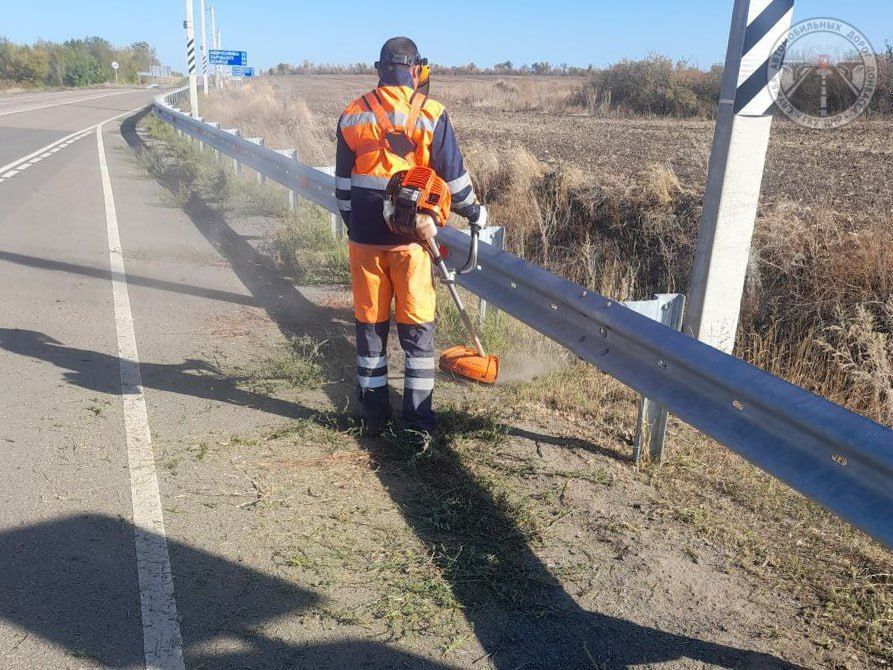 #свод_за_сутки #летнее_содержание #свод_за_сутки #летнее_содержание