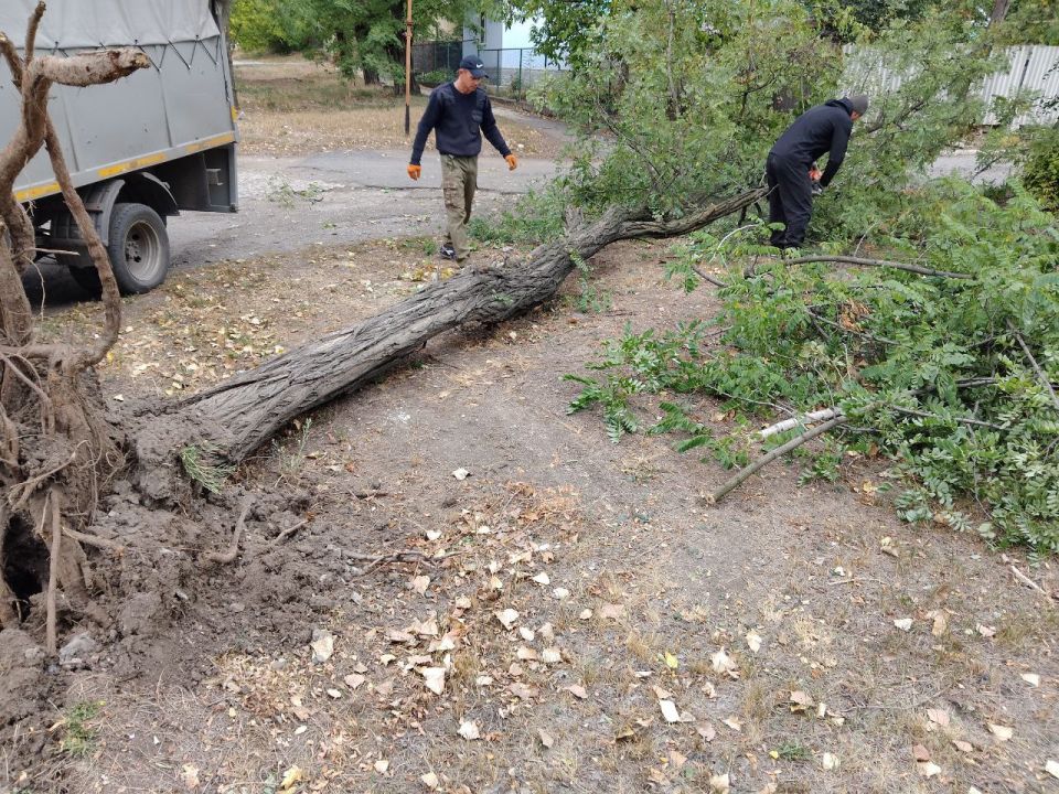 Сегодня, 2 октября, с целью приведения территории в надлежащее состояние, силами подрядной организации проведены работы по распиловке и уборке аварийного дерева по ул. Кирова