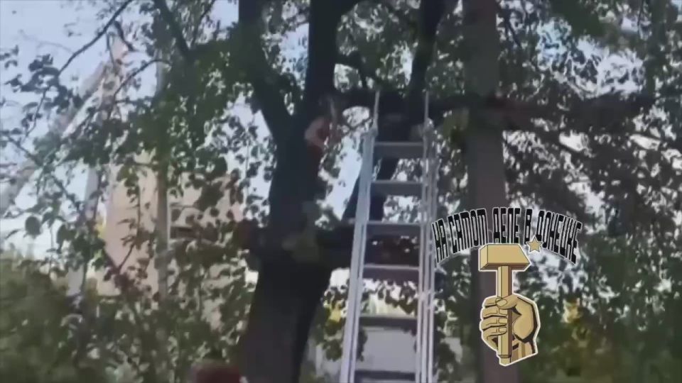 Последствия обстрела Макеевки, микрорайон Восточный, предварительно, ракетой РСЗО «HIMARS»