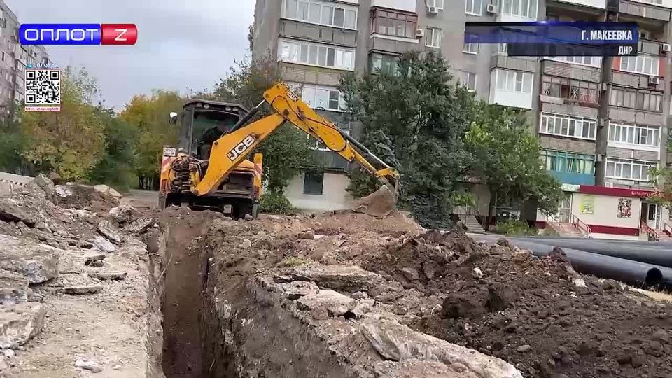 Аллея Победы: от зарослей до точки притяжения