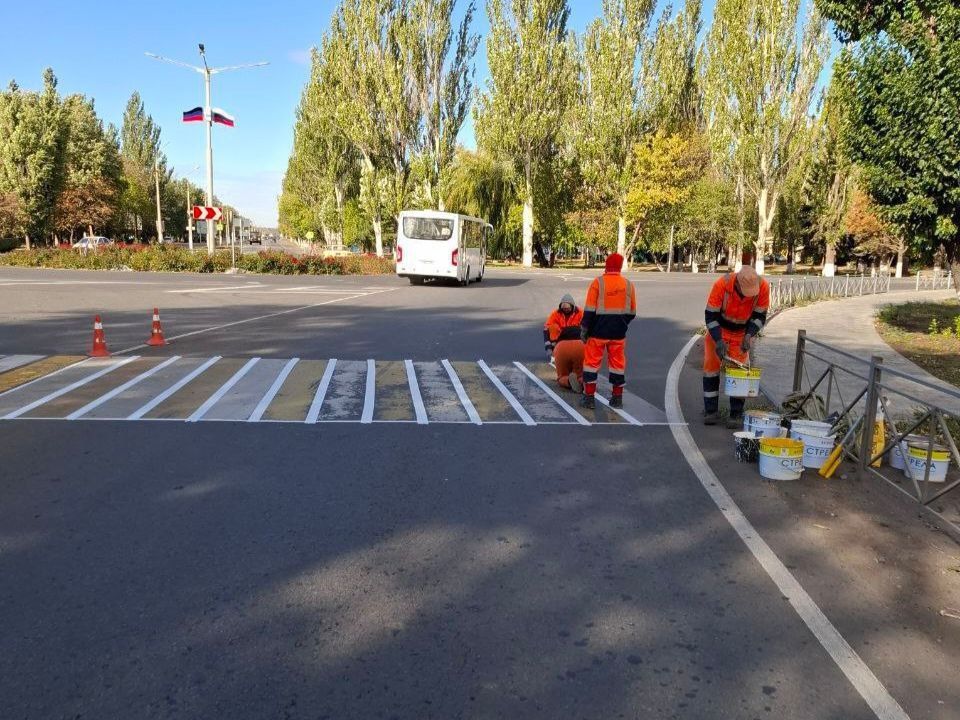 #свод_за_сутки #летнее_содержание #свод_за_сутки #летнее_содержание