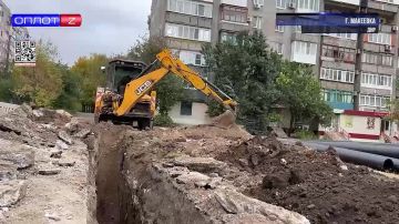 Аллея Победы: от зарослей до точки притяжения