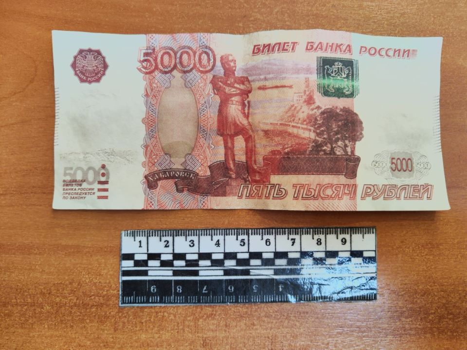 Сотрудники полиции задержали фальшивомонетчика Сотрудники полиции задержали фальшивомонетчика