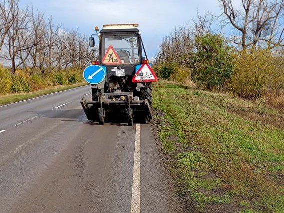 #свод_за_сутки #летнее_содержание #свод_за_сутки #летнее_содержание