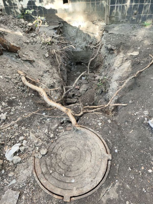 �������� ��������� ������: ���������� ������ �� ����