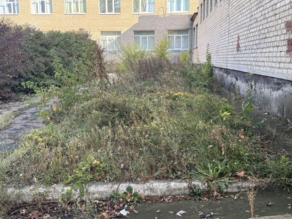 Индивидуальный предприниматель Алексей Боршош продолжает оказывать посильную помощь в ответ на просьбы жителей и принимать активное участие в жизнедеятельности района Индивидуальный предприниматель Алексей Боршош продолжает оказывать посильную помощь в ответ на просьбы жителей и принимать активное участие в жизнедеятельности района