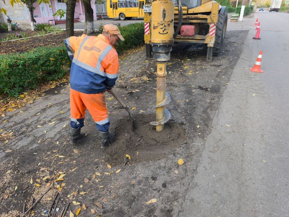 #свод_за_сутки #летнее_содержание #свод_за_сутки #летнее_содержание