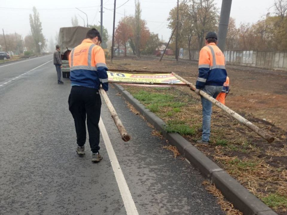 #свод_за_сутки #летнее_содержание #свод_за_сутки #летнее_содержание