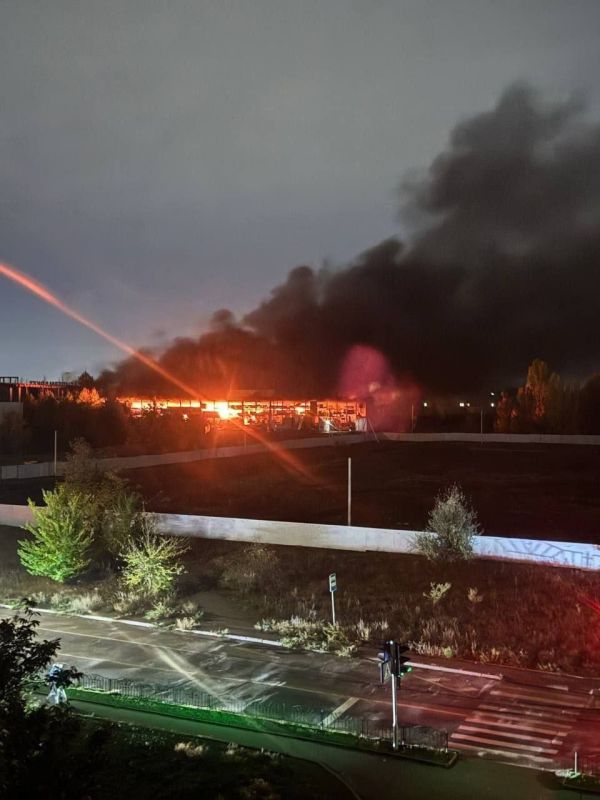 � ������� ���������� ����� � ������ ������� "�����" - ������������ �����-����