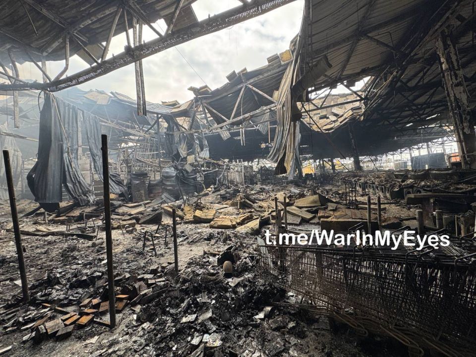 "�����" ������ ���: ���������� ����� ���������� ���� �� ���������� ������������� �������