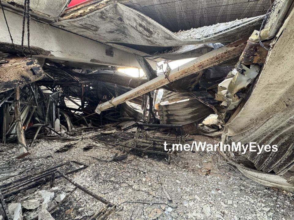 "�����" ������ ���: ���������� ����� ���������� ���� �� ���������� ������������� �������