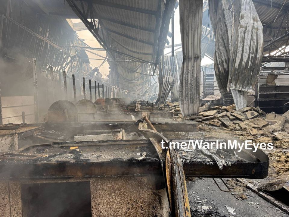 "�����" ������ ���: ���������� ����� ���������� ���� �� ���������� ������������� �������