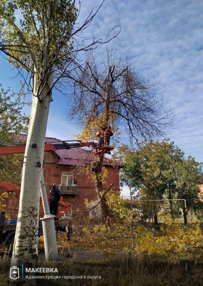 Сотрудниками МУП АГМ «Перспектива» выполнены работы: