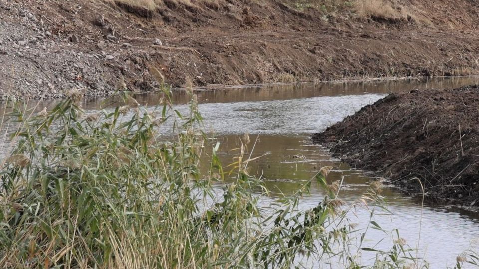 Александр Подгорный: Продолжаем расчистку реки Кальмиус от зарослей и мусора Александр Подгорный: Продолжаем расчистку реки Кальмиус от зарослей и мусора