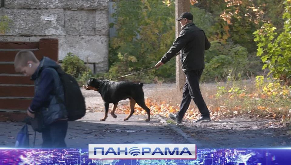«Школьный двор стал общественным»: Глава ДНР поручил обеспечить безопасность школы в Макеевке