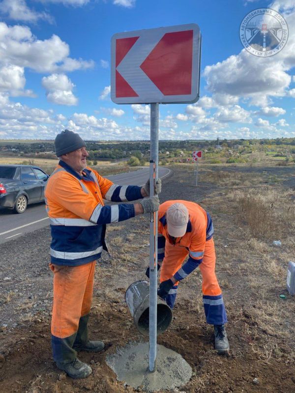 #свод_за_сутки #летнее_содержание #свод_за_сутки #летнее_содержание