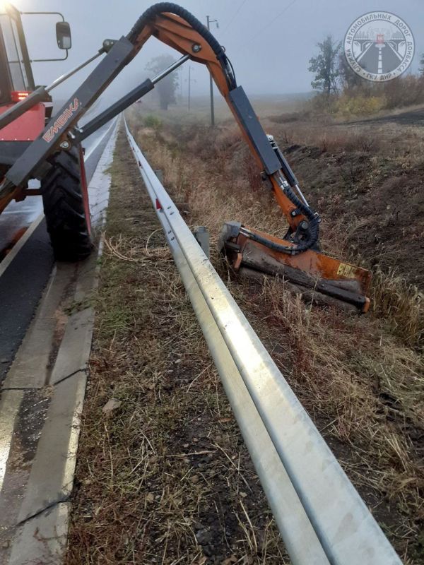 #свод_за_сутки #летнее_содержание #свод_за_сутки #летнее_содержание