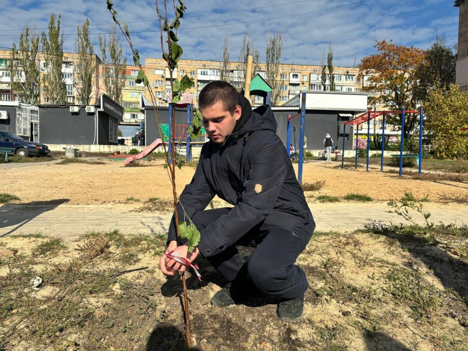 Добровольцы Донецкого РО ВСКС провели субботник по озеленению детской площадки в Макеевке Добровольцы Донецкого РО ВСКС провели субботник по озеленению детской площадки в Макеевке