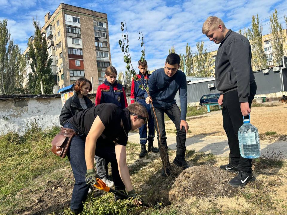 Добровольцы Донецкого РО ВСКС провели субботник по озеленению детской площадки в Макеевке Добровольцы Донецкого РО ВСКС провели субботник по озеленению детской площадки в Макеевке