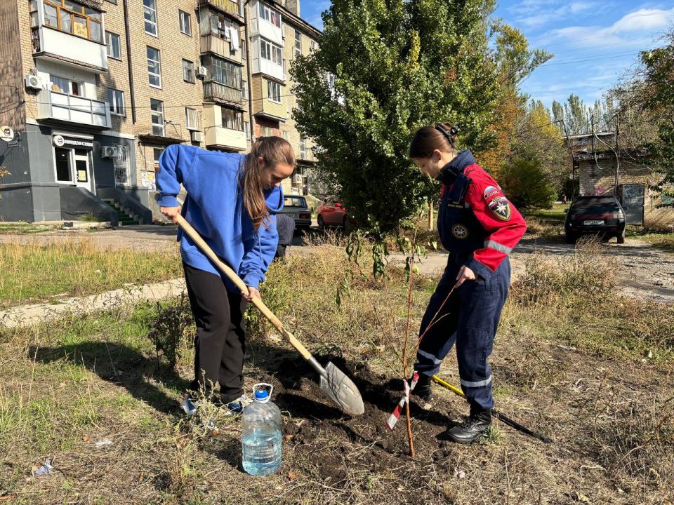 Добровольцы Донецкого РО ВСКС провели субботник по озеленению детской площадки в Макеевке Добровольцы Донецкого РО ВСКС провели субботник по озеленению детской площадки в Макеевке