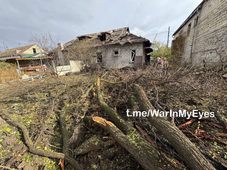 ����������� ������ ����� ���������� ����������� �� ���� �������� ������ ���� � ������������������ ������ ��������