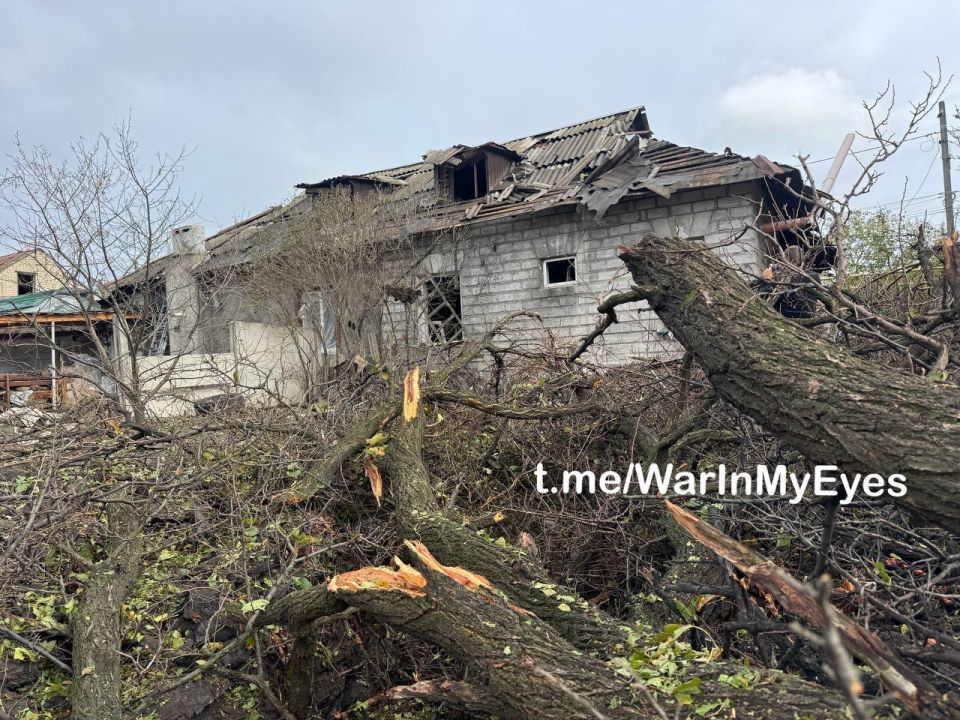 ����������� ������ ����� ���������� ����������� �� ���� �������� ������ ���� � ������������������ ������ ��������