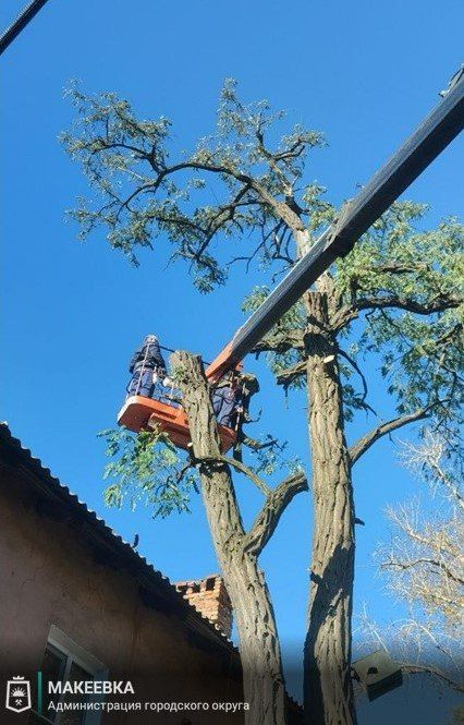 Сотрудниками МУП АГМ «Перспектива» выполнены работы: Сотрудниками МУП АГМ «Перспектива» выполнены работы: