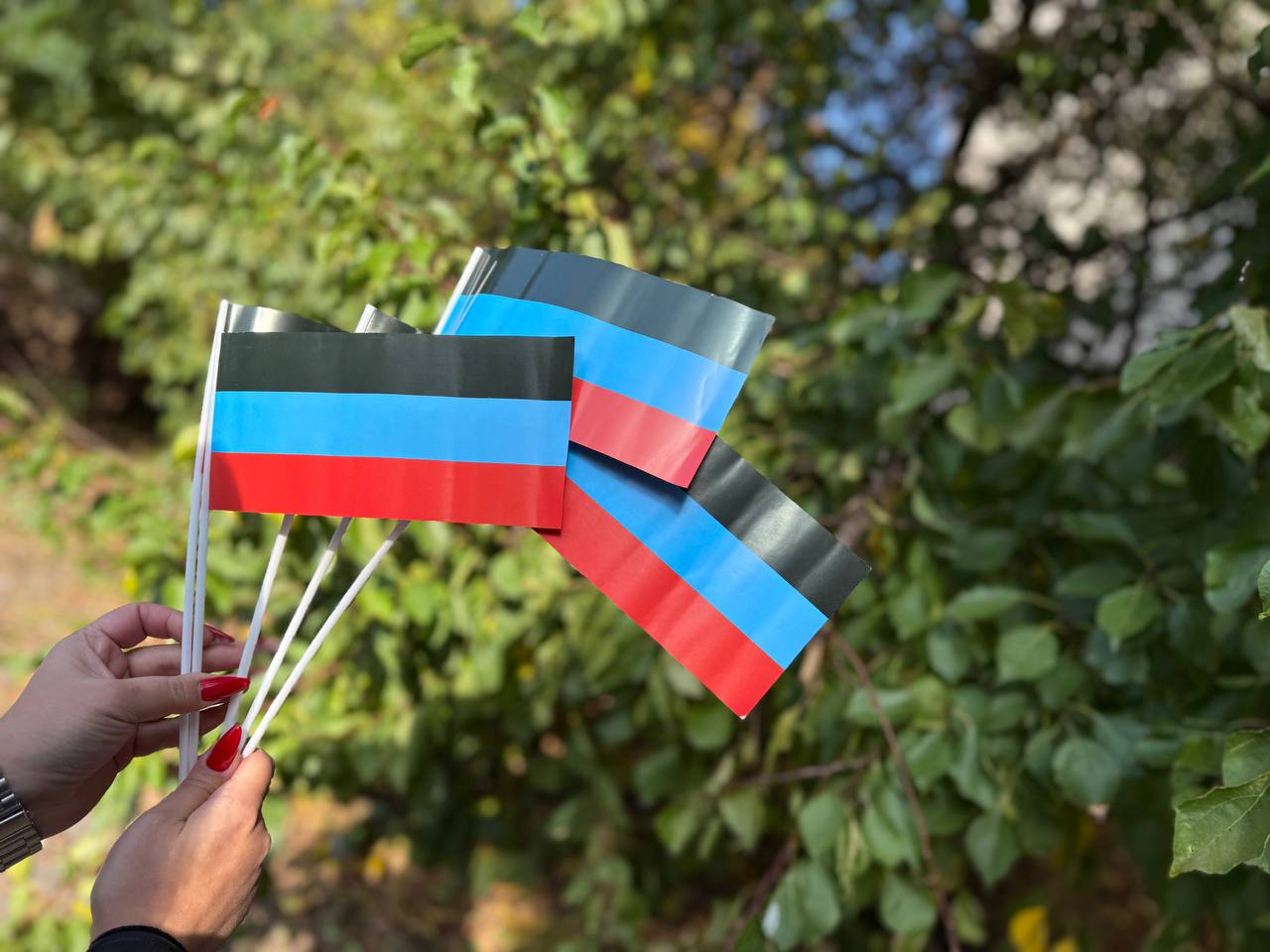 Сегодня, 24 октября, в канун Дня Государственного флага Донецкой Народной Республики активисты местного отделения Общественного Движения «Донецкая Республика» района приняли участие в акции «Флаг овеянный славой»
