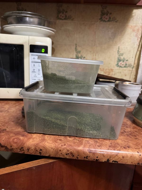 ������ ������������ ������ ����� 160 ������� ��������� � ������������