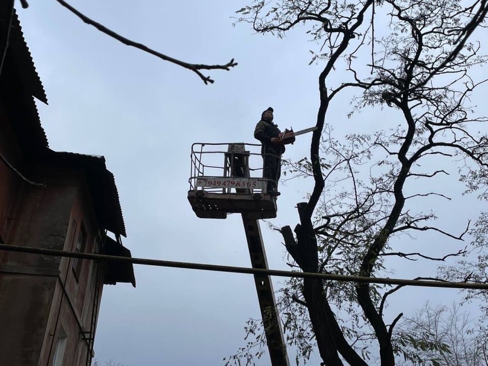 �������, 28 �������, � ����� ����������� ������������ ����������������� ��������� � �������������� ������������� ��������� �������� ������� ���������� ���������������� ������ ������������� ���������� ������ �������� �...