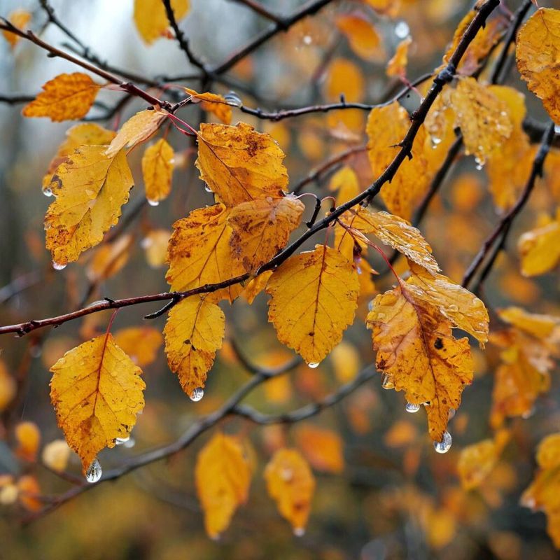 ����� ���: 1700 ������������ ������� ���������� ��� ������� � ������� ������������������ ��������� � ����� �������� ��� � ��������