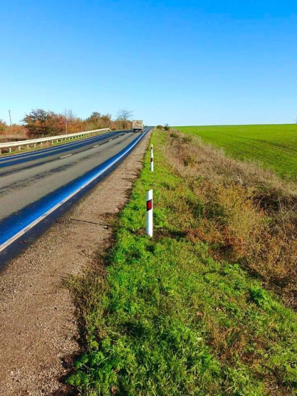 #����������_�����_������_�����������