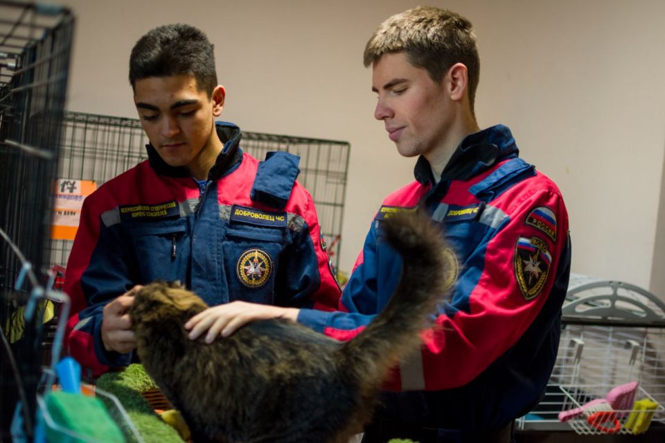 Школьный сбор для хвостатых Школьный сбор для хвостатых