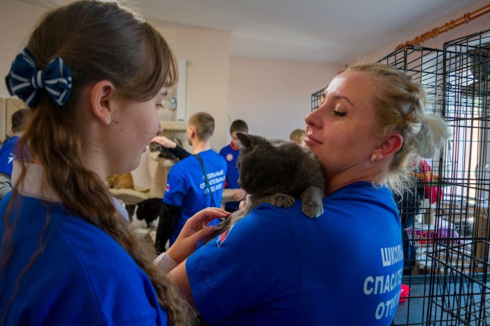 Школьный сбор для хвостатых Школьный сбор для хвостатых