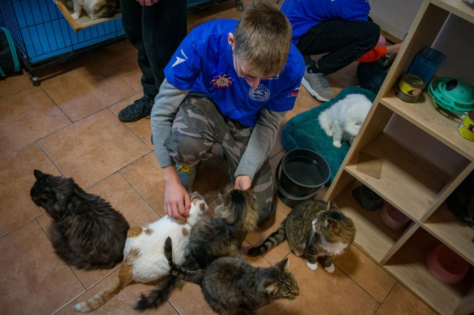 Школьный сбор для хвостатых Школьный сбор для хвостатых