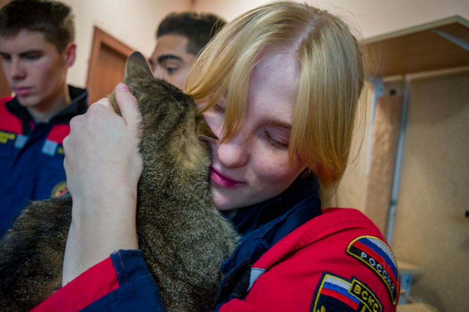 Школьный сбор для хвостатых Школьный сбор для хвостатых