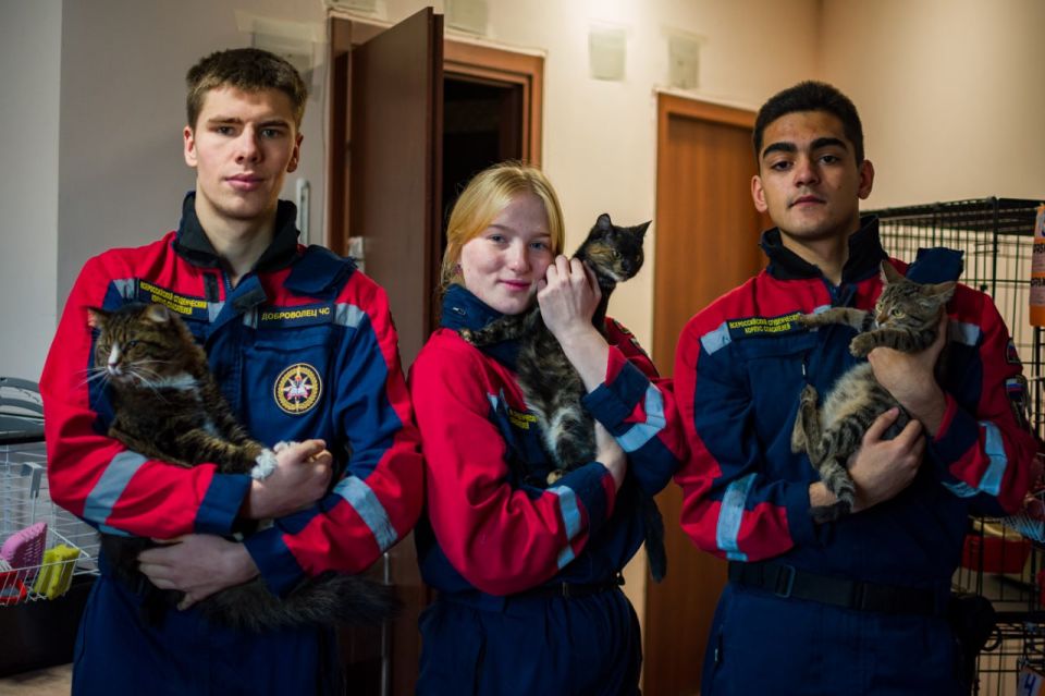 Школьный сбор для хвостатых Школьный сбор для хвостатых