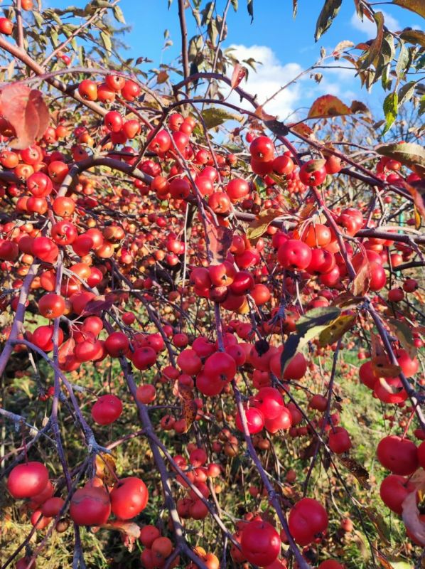 �������� � �������. ������������� ���� ������ ������� � ������ � ������� ������� ������ ����� ������������ ���� � ������ ������� ������� ������ ��� ������������ ��������� ����������� �� �������� ���� ����