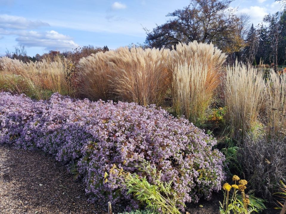 �������� � �������. ������������� ���� ������ ������� � ������ � ������� ������� ������ ����� ������������ ���� � ������ ������� ������� ������ ��� ������������ ��������� ����������� �� �������� ���� ����