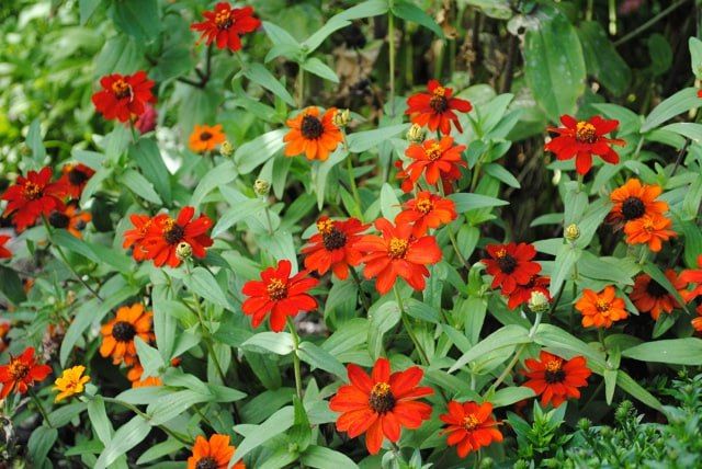 �������� � �������. ������������� ���� ������ ������� � ������ � ������� ������� ������ ����� ������������ ���� � ������ ������� ������� ������ ��� ������������ ��������� ����������� �� �������� ���� ����